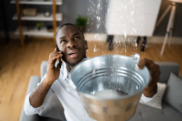 Best Emergency water damage restoration  in Remsen, IA