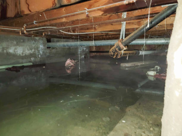Best Residential water damage restoration  in Remsen, IA