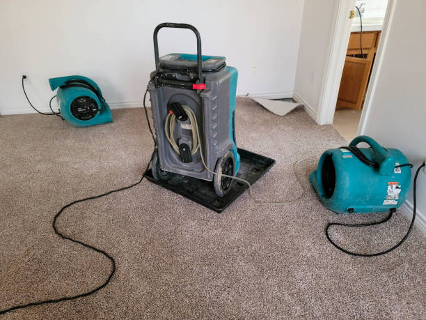 Best Professional water damage repair  in Remsen, IA