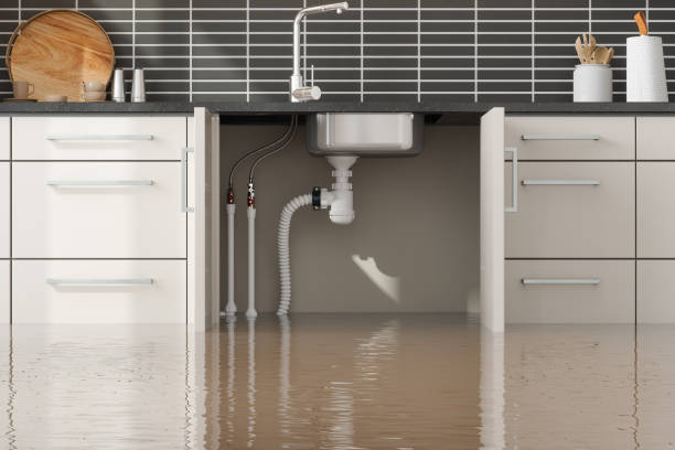 Best Fire Damage Restoration  in Remsen, IA
